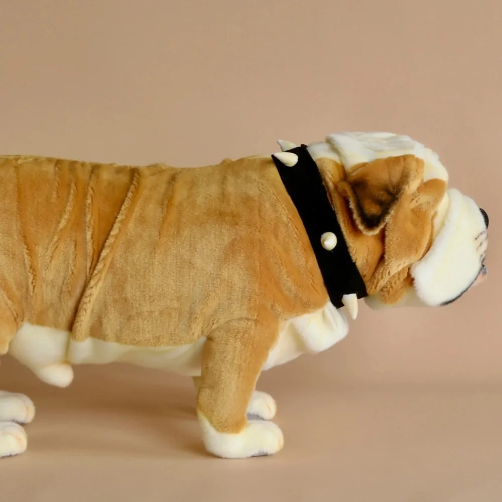 Odin Parker Bulldog - Picture 2 of 7